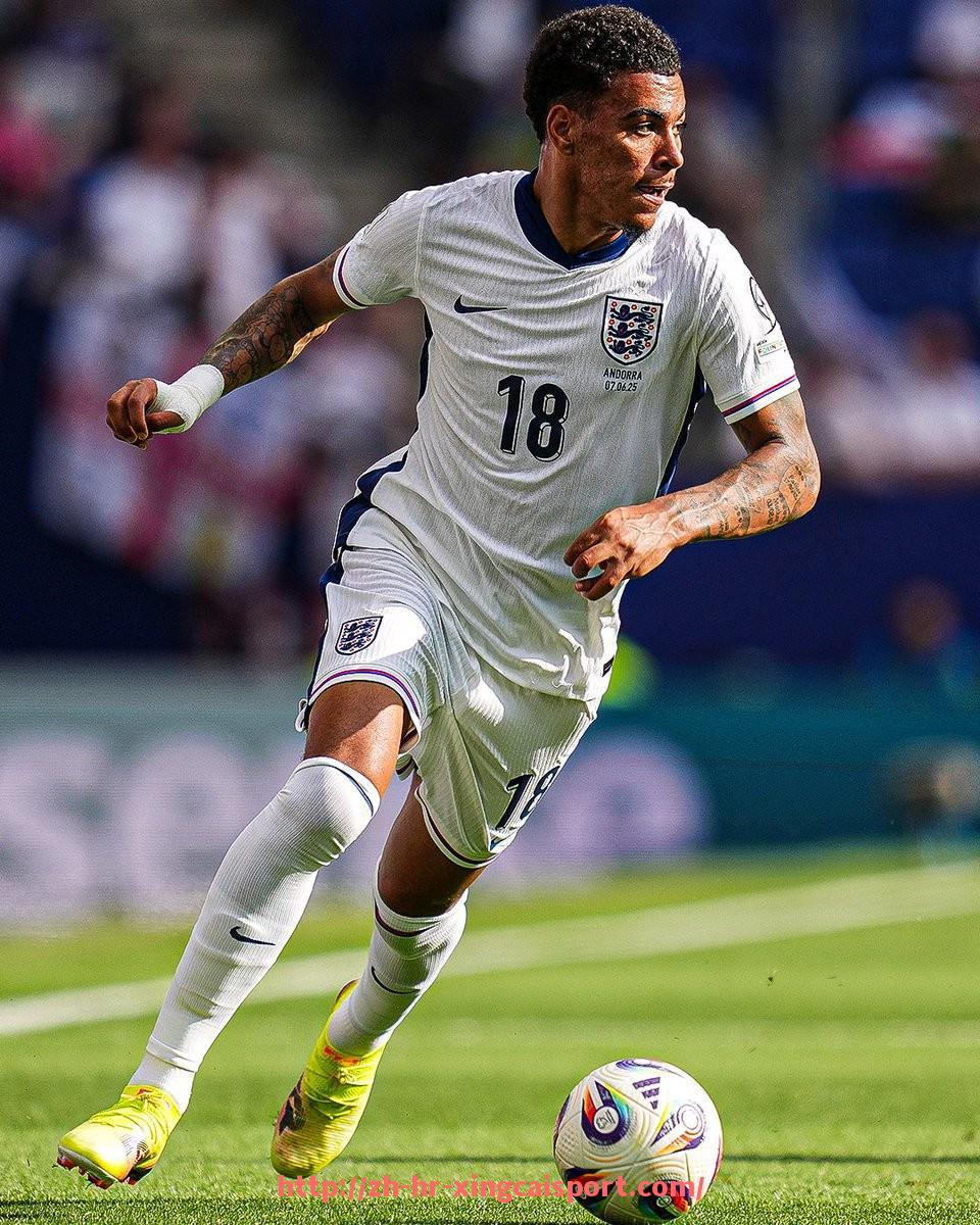 杏彩体育-世俱杯中文视频资源汇总及精彩比赛回放